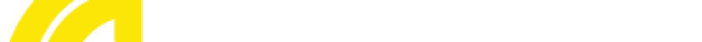 logo model full